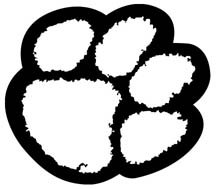 Tiger Power